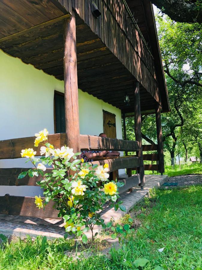 Villa Еко Дім З Соломи Solotschyn Exterior foto