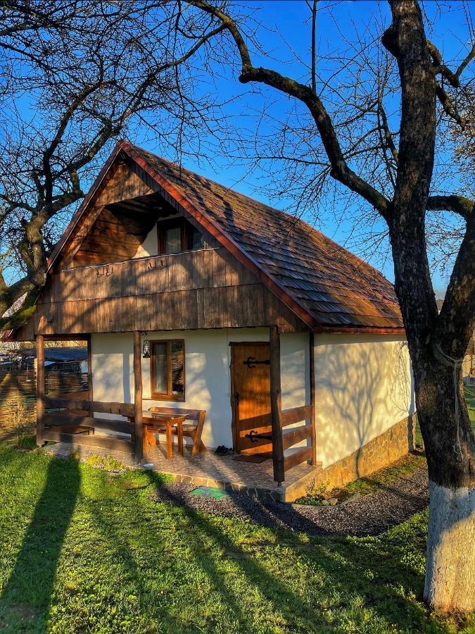 Villa Еко Дім З Соломи Solotschyn Exterior foto