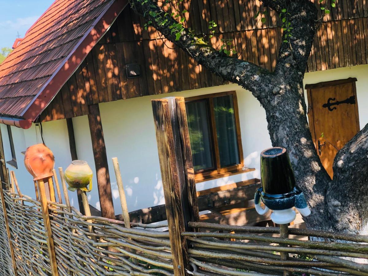 Villa Еко Дім З Соломи Solotschyn Exterior foto