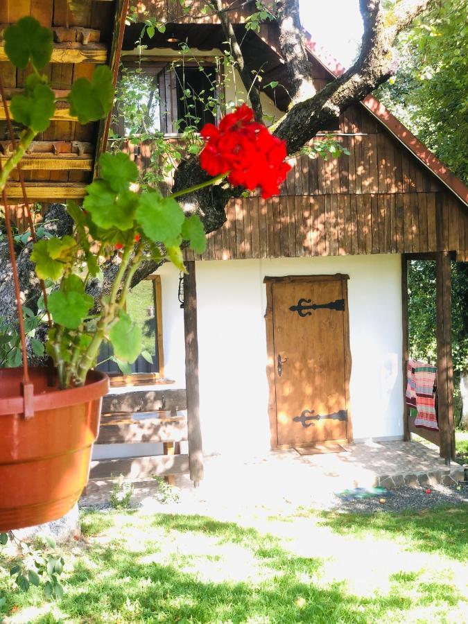 Villa Еко Дім З Соломи Solotschyn Exterior foto