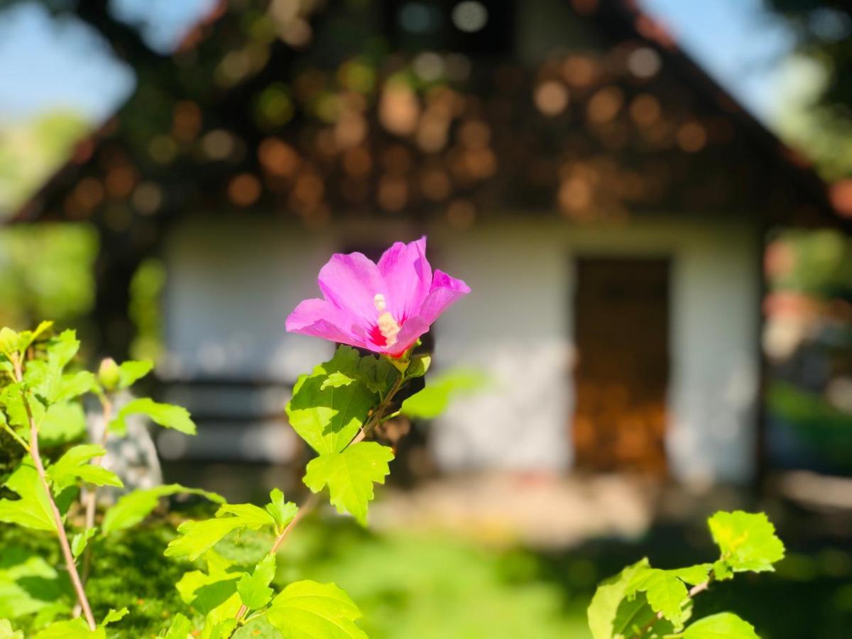 Villa Еко Дім З Соломи Solotschyn Exterior foto