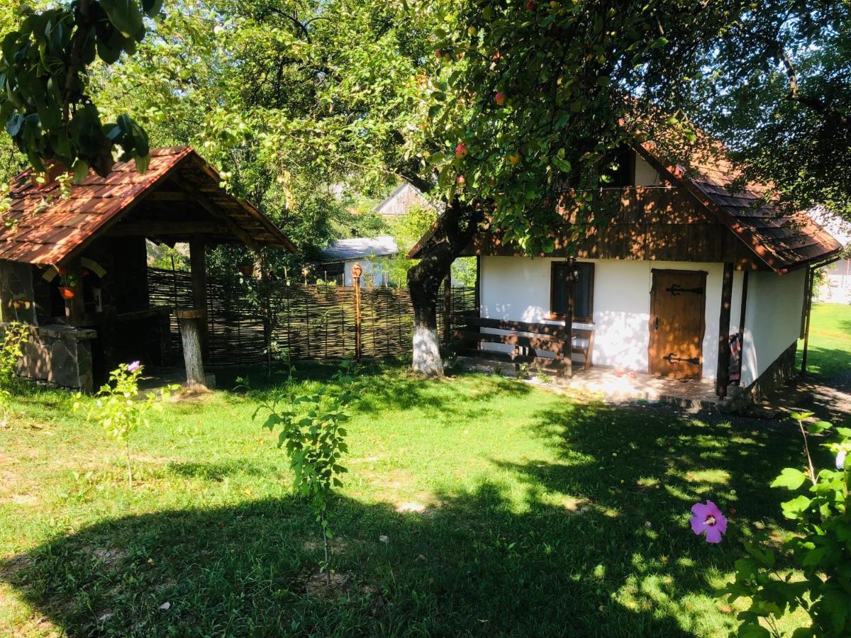 Villa Еко Дім З Соломи Solotschyn Exterior foto