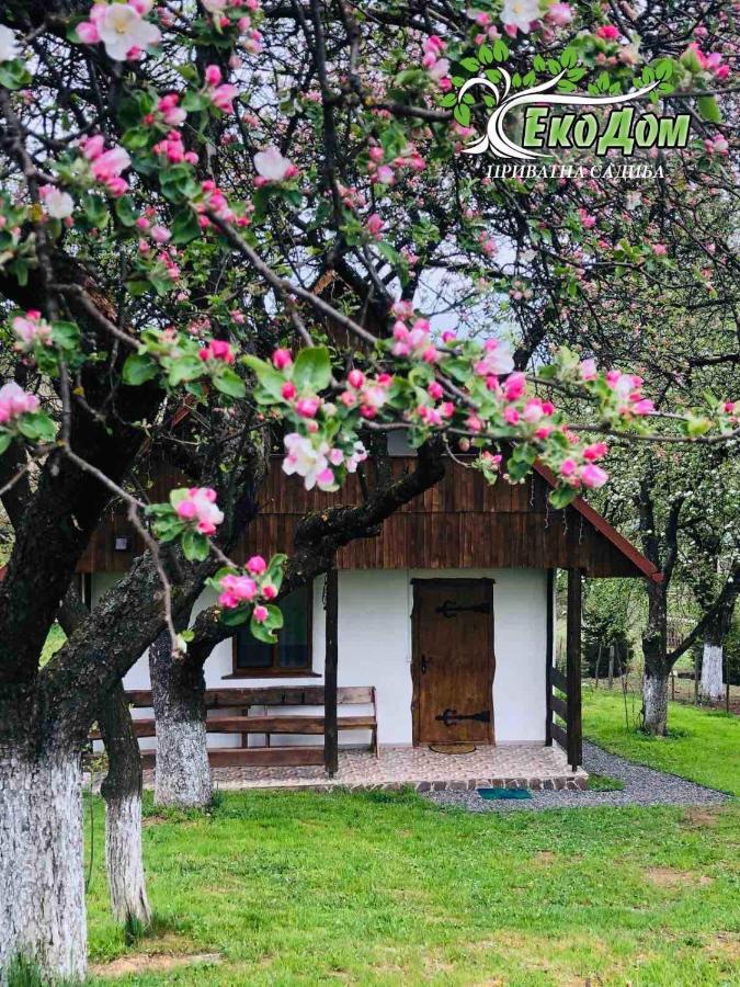 Villa Еко Дім З Соломи Solotschyn Exterior foto