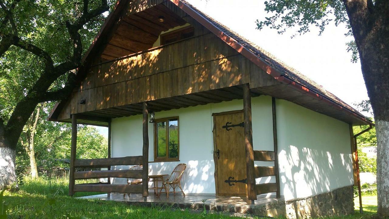 Villa Еко Дім З Соломи Solotschyn Exterior foto