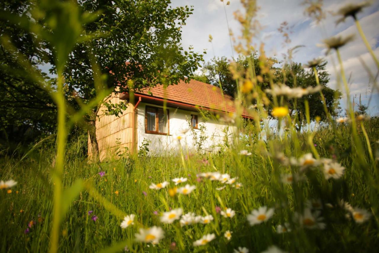 Villa Еко Дім З Соломи Solotschyn Exterior foto
