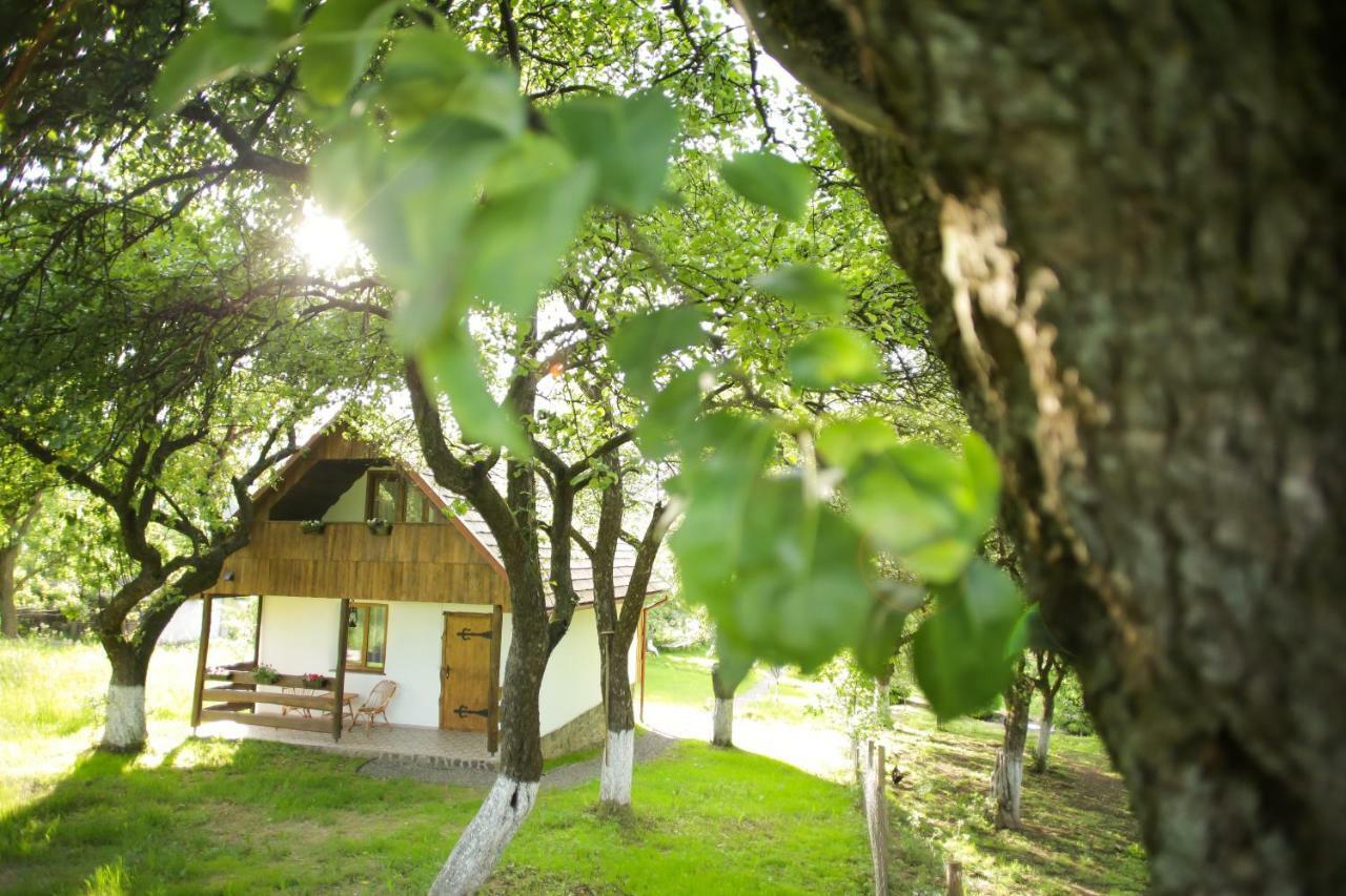 Villa Еко Дім З Соломи Solotschyn Exterior foto