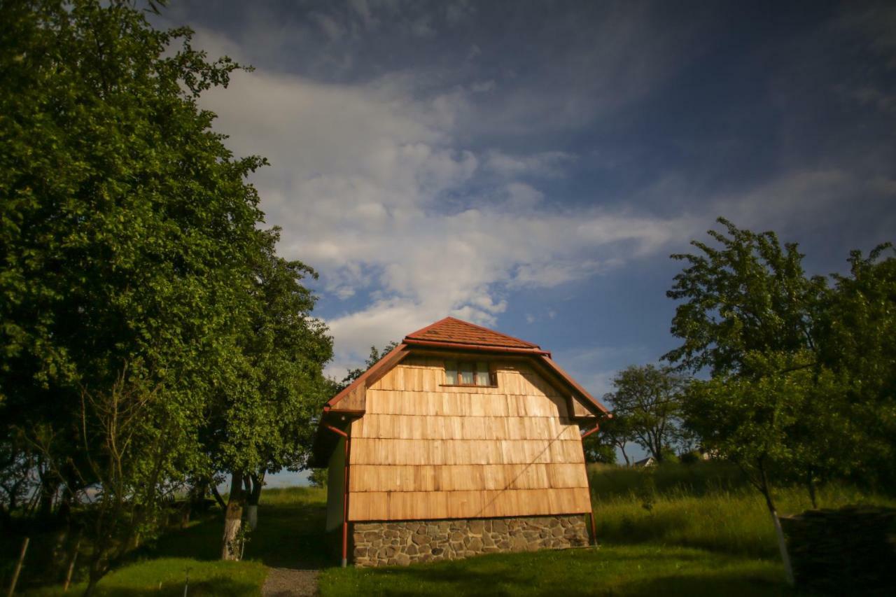 Villa Еко Дім З Соломи Solotschyn Exterior foto