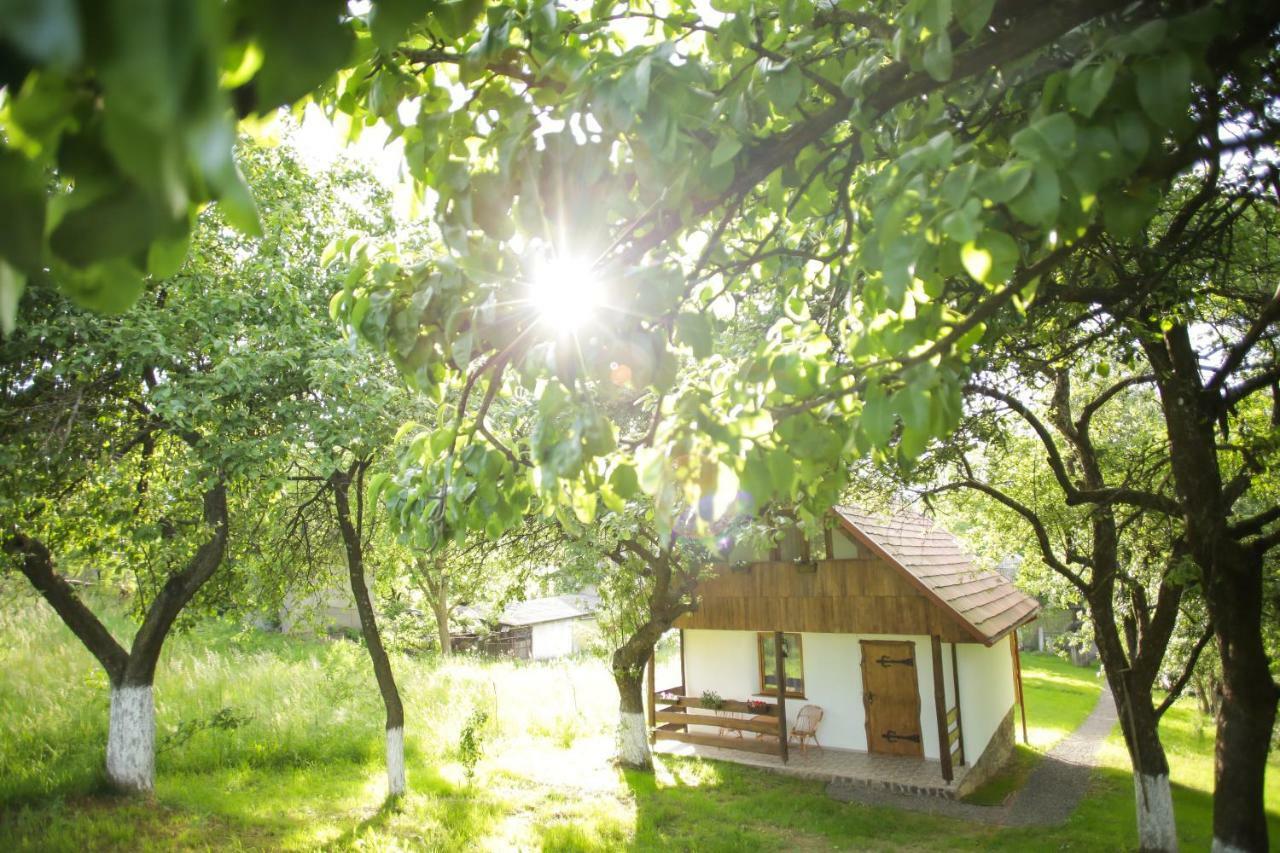 Villa Еко Дім З Соломи Solotschyn Exterior foto