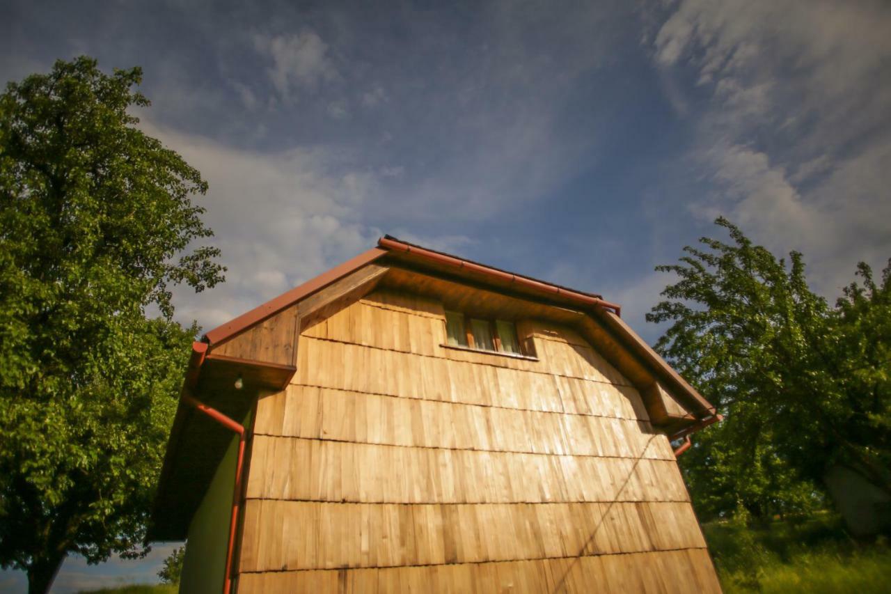 Villa Еко Дім З Соломи Solotschyn Exterior foto