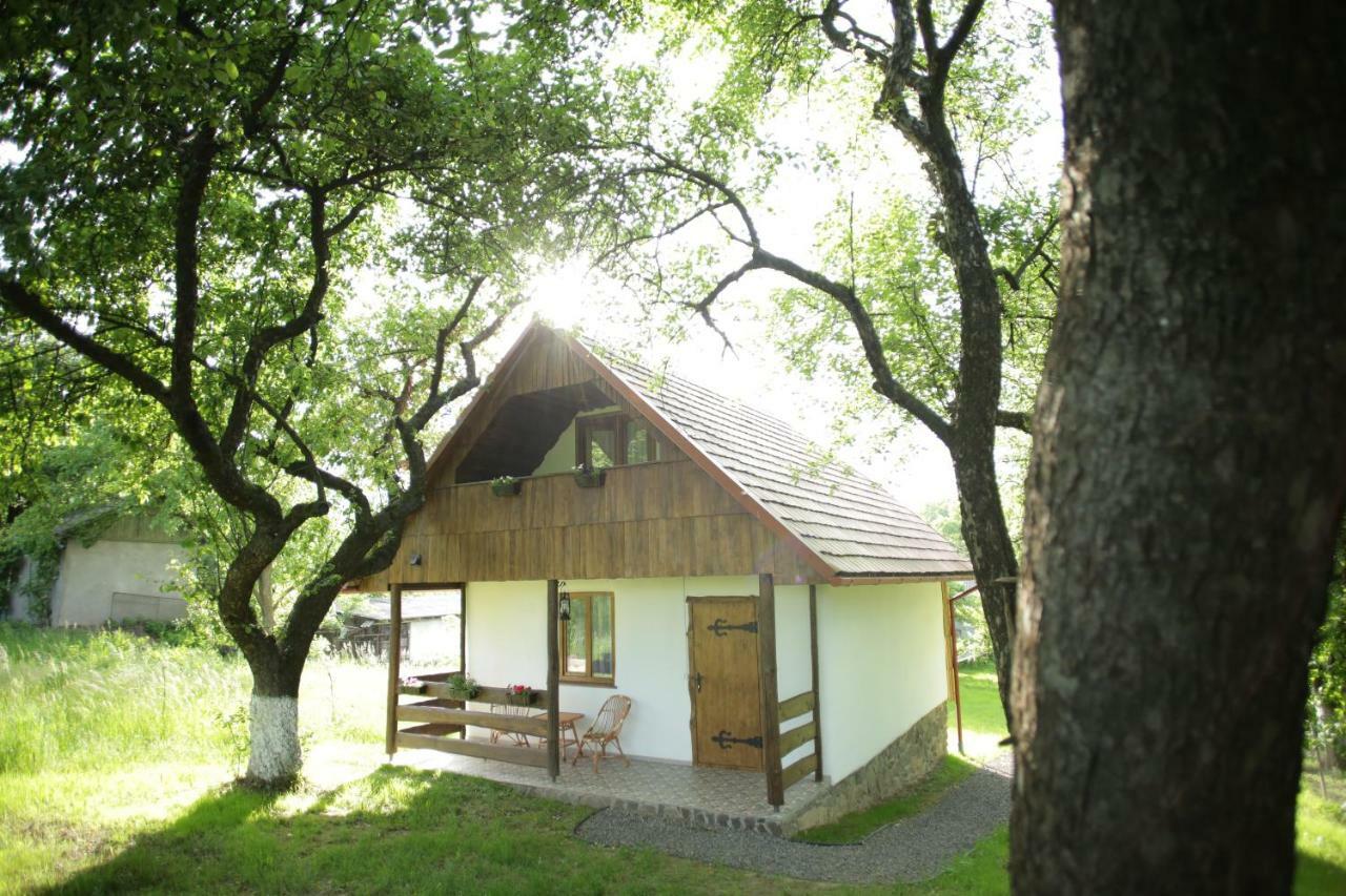 Villa Еко Дім З Соломи Solotschyn Exterior foto